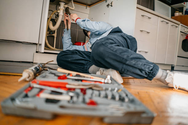 Best Hot Water Heater Installation  in Oquawka, IL