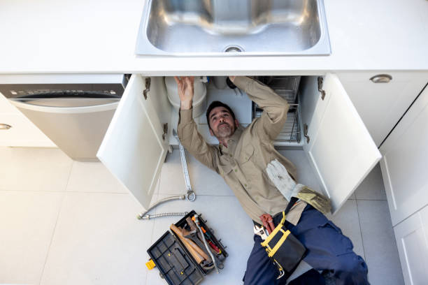 Best 24-Hour Plumber Near Me  in Oquawka, IL