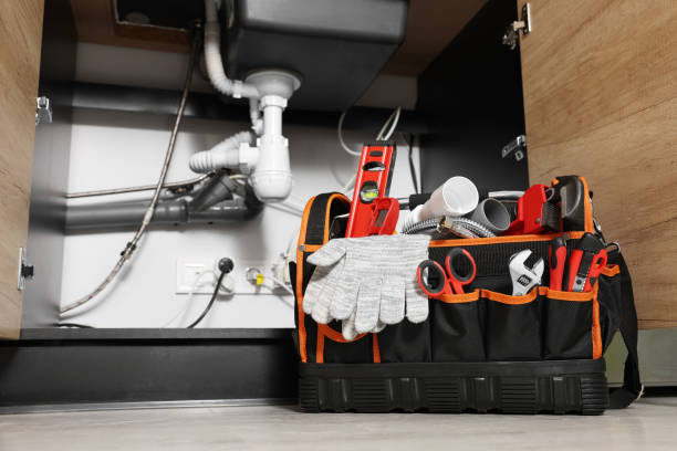 Best Clogged Drain Plumber  in Oquawka, IL