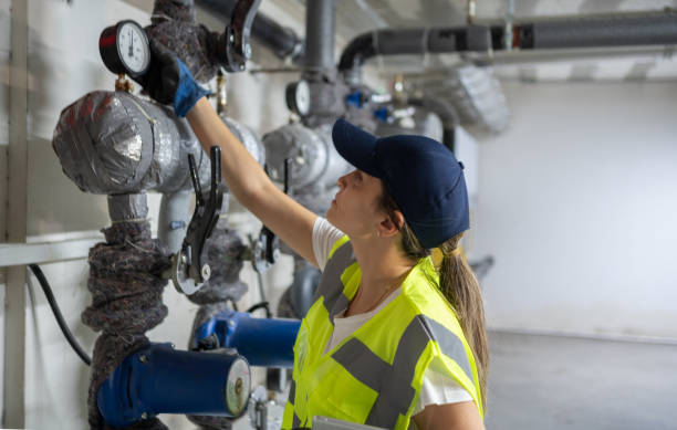 Best Clogged Drain Plumber  in Oquawka, IL