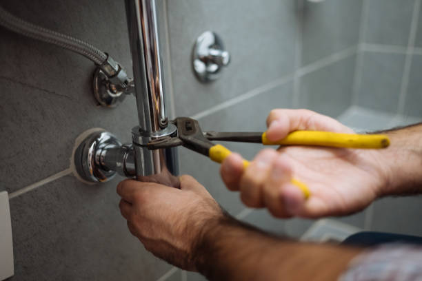 Best Plumbing Inspection Services  in Oquawka, IL