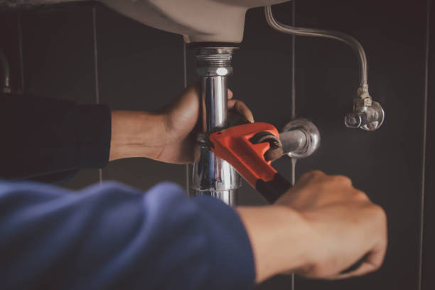 Best Affordable Plumbing Services  in Oquawka, IL