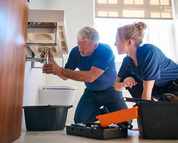Best Leak Detection Services  in Oquawka, IL
